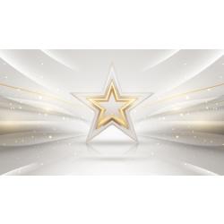 All-Star Awards Program
